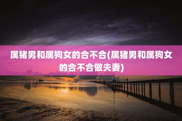 属猪男和属狗女的合不合(属猪男和属狗女的合不合做夫妻)