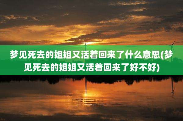 梦见死去的姐姐又活着回来了什么意思(梦见死去的姐姐又活着回来了好不好)