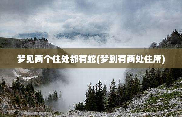 梦见两个住处都有蛇(梦到有两处住所)