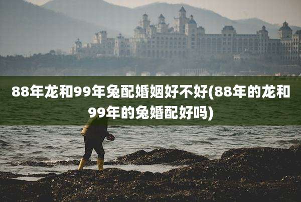 88年龙和99年兔配婚姻好不好(88年的龙和99年的兔婚配好吗)
