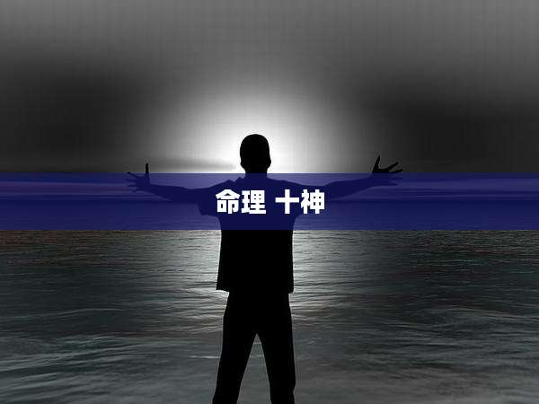 命理 十神