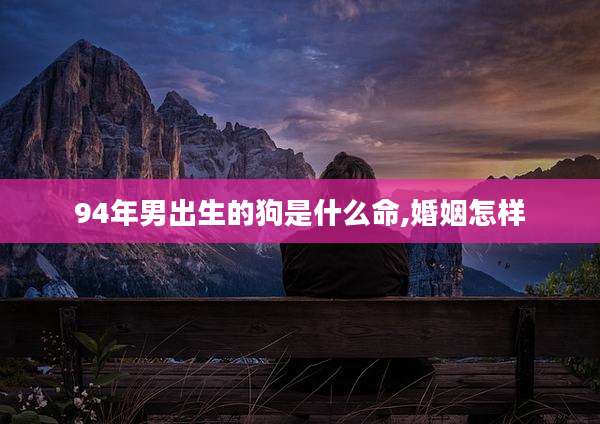94年男出生的狗是什么命,婚姻怎样