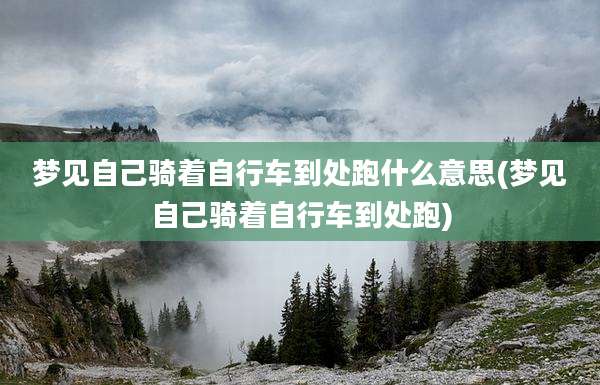 梦见自己骑着自行车到处跑什么意思(梦见自己骑着自行车到处跑)