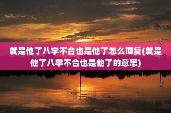 就是他了八字不合也是他了怎么回复(就是他了八字不合也是他了的意思)