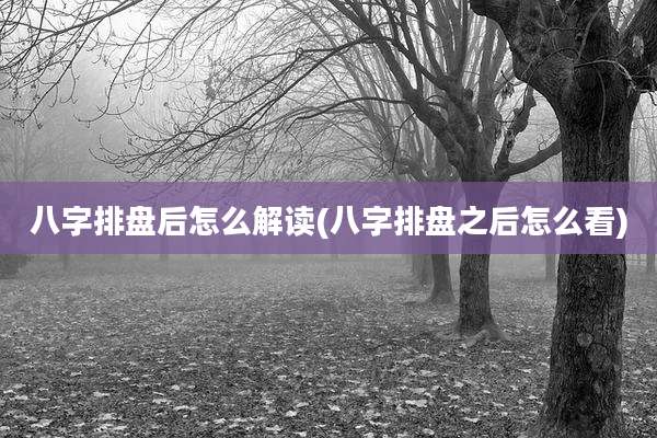八字排盘后怎么解读(八字排盘之后怎么看)