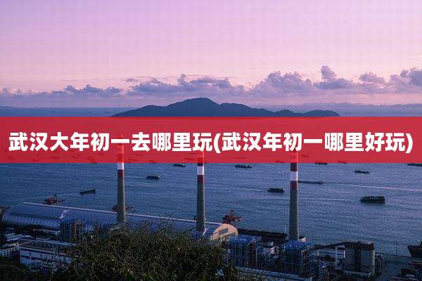 武汉大年初一去哪里玩(武汉年初一哪里好玩)