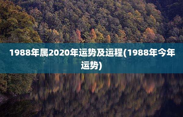 1988年属2020年运势及运程(1988年今年运势)