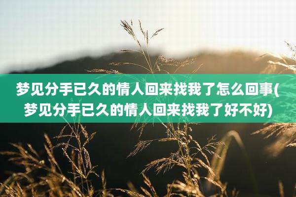 梦见分手已久的情人回来找我了怎么回事(梦见分手已久的情人回来找我了好不好)