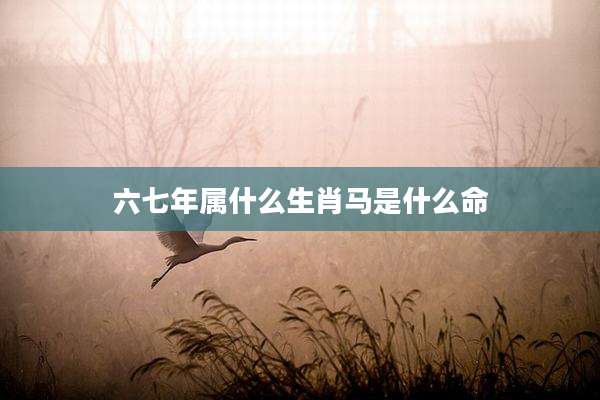六七年属什么生肖马是什么命