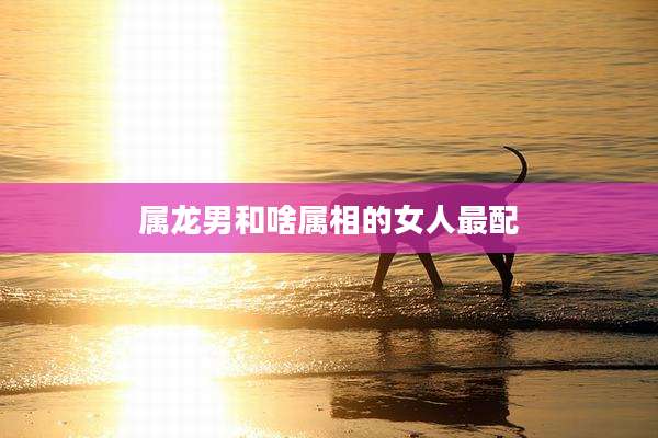 属龙男和啥属相的女人最配