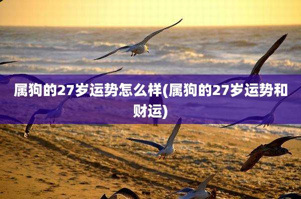属狗的27岁运势怎么样(属狗的27岁运势和财运)