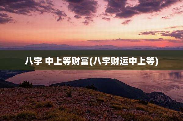 八字 中上等财富(八字财运中上等)
