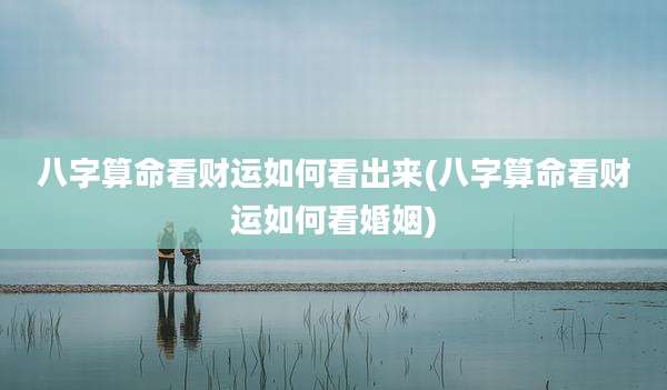 八字算命看财运如何看出来(八字算命看财运如何看婚姻)