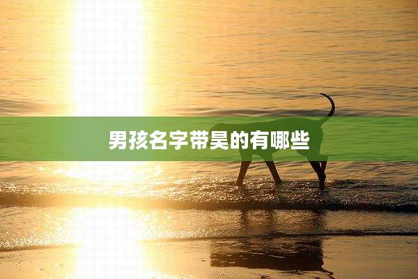 男孩名字带昊的有哪些