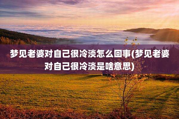 梦见老婆对自己很冷淡怎么回事(梦见老婆对自己很冷淡是啥意思)
