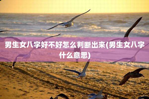 男生女八字好不好怎么判断出来(男生女八字什么意思)