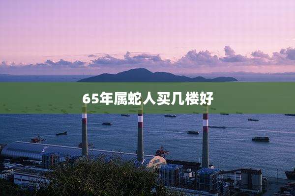 65年属蛇人买几楼好