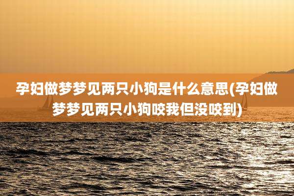 孕妇做梦梦见两只小狗是什么意思(孕妇做梦梦见两只小狗咬我但没咬到)