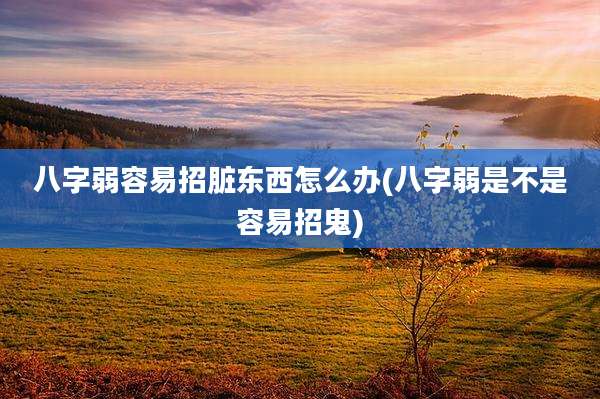 八字弱容易招脏东西怎么办(八字弱是不是容易招鬼)