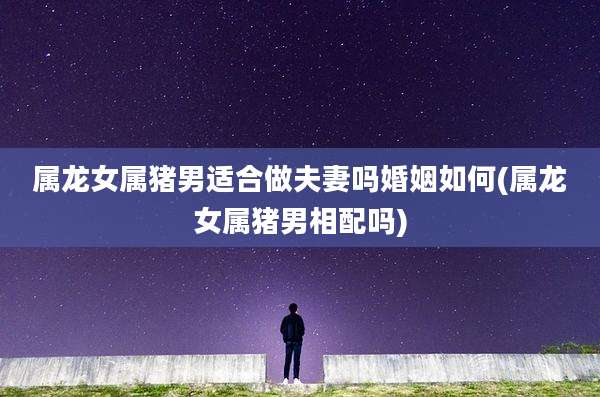 属龙女属猪男适合做夫妻吗婚姻如何(属龙女属猪男相配吗)