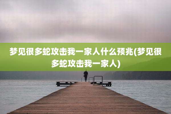 梦见很多蛇攻击我一家人什么预兆(梦见很多蛇攻击我一家人)
