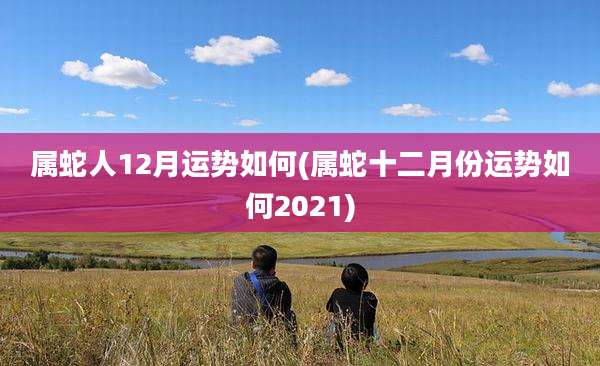 属蛇人12月运势如何(属蛇十二月份运势如何2021)