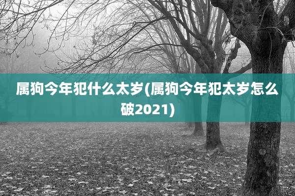 属狗今年犯什么太岁(属狗今年犯太岁怎么破2021)