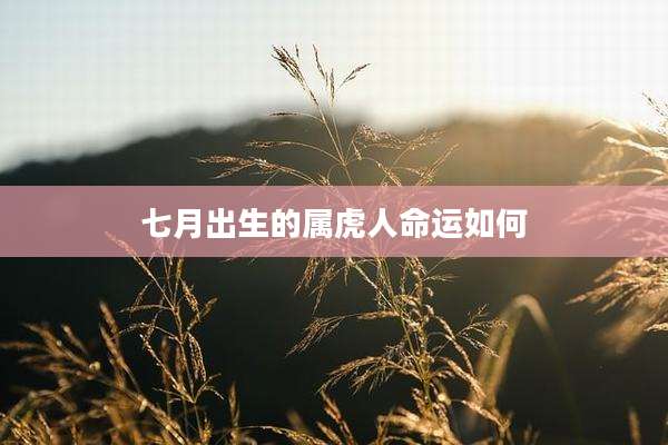 七月出生的属虎人命运如何