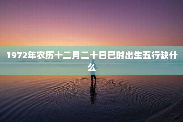 1972年农历十二月二十日巳时出生五行缺什么