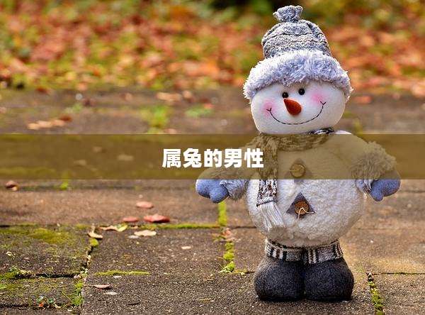 属兔的男性