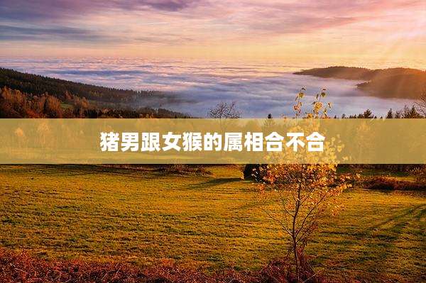 猪男跟女猴的属相合不合