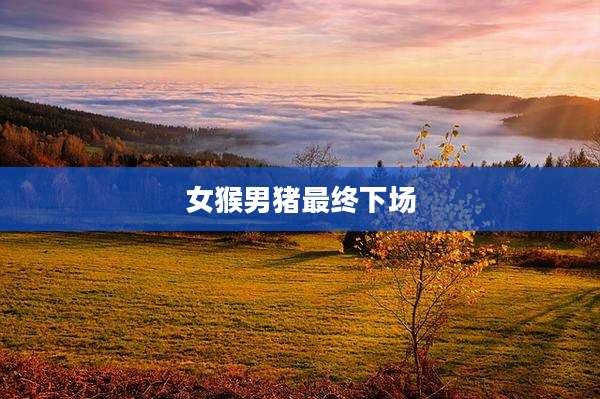 女猴男猪最终下场