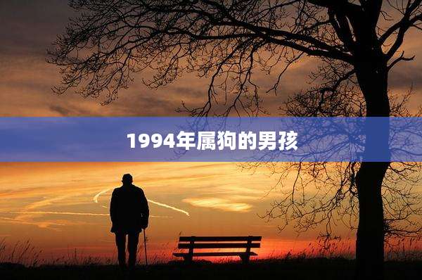 1994年属狗的男孩