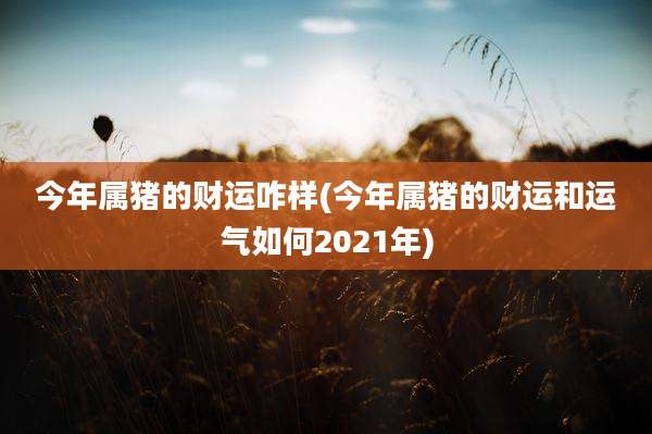 今年属猪的财运咋样(今年属猪的财运和运气如何2021年)
