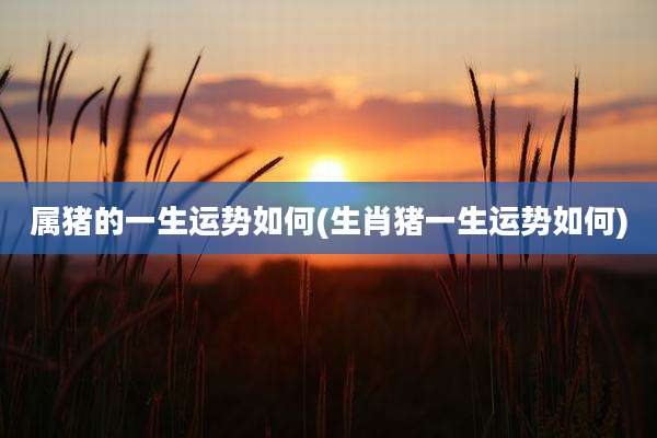 属猪的一生运势如何(生肖猪一生运势如何)