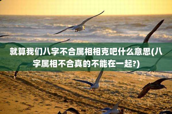 就算我们八字不合属相相克吧什么意思(八字属相不合真的不能在一起?)