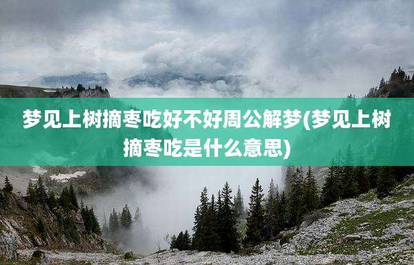 梦见上树摘枣吃好不好周公解梦(梦见上树摘枣吃是什么意思)