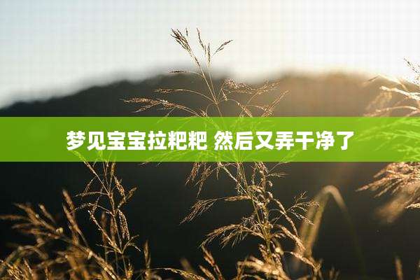梦见宝宝拉粑粑 然后又弄干净了