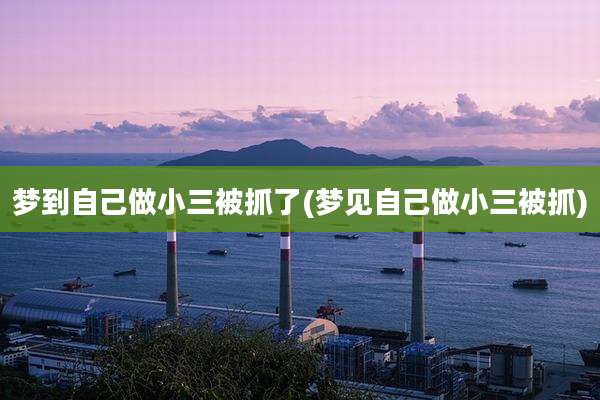 梦到自己做小三被抓了(梦见自己做小三被抓)