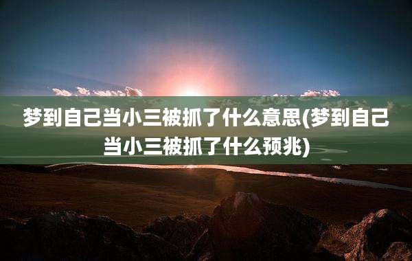 梦到自己当小三被抓了什么意思(梦到自己当小三被抓了什么预兆)