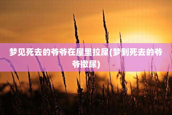 梦见死去的爷爷在屋里拉屎(梦到死去的爷爷撒尿)