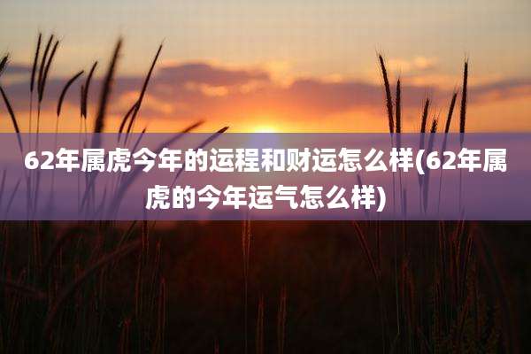 62年属虎今年的运程和财运怎么样(62年属虎的今年运气怎么样)