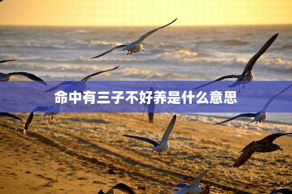 命中有三子不好养是什么意思