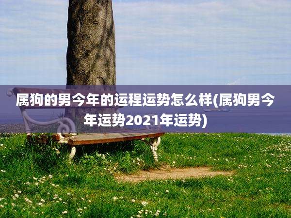 属狗的男今年的运程运势怎么样(属狗男今年运势2021年运势)