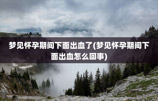 梦见怀孕期间下面出血了(梦见怀孕期间下面出血怎么回事)