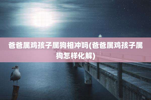 爸爸属鸡孩子属狗相冲吗(爸爸属鸡孩子属狗怎样化解)