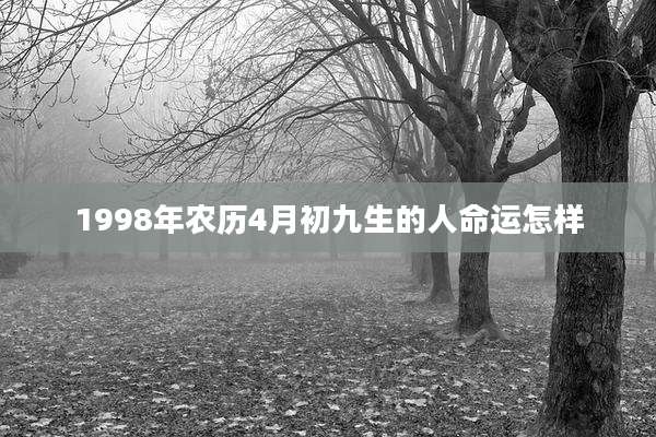 1998年农历4月初九生的人命运怎样