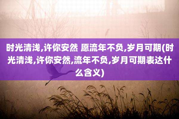 时光清浅,许你安然 愿流年不负,岁月可期(时光清浅,许你安然,流年不负,岁月可期表达什么含义)