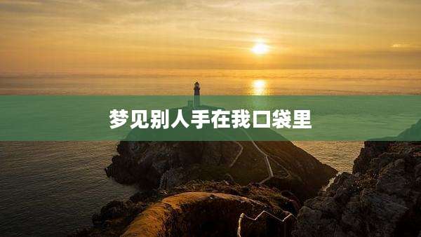 梦见别人手在我口袋里