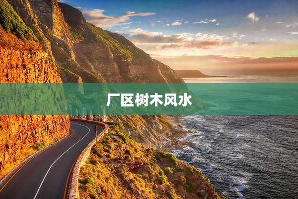 厂区树木风水